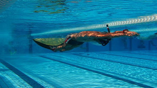 tsw https://novargonaftes.xtend.gr/wp-content/uploads/2021/01/tsw.jpg